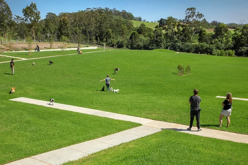 Shade for dog park.jpg