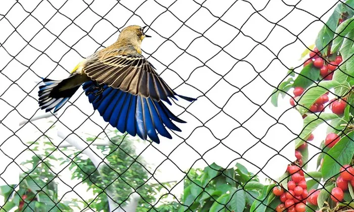 anti-bird-netting 小图6.jpg
