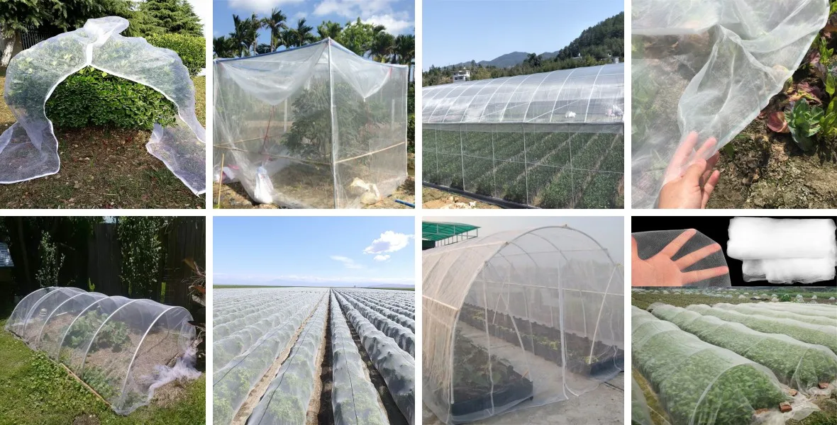Insect-Proof Net, Crops Protection Net Against Insects And Pests