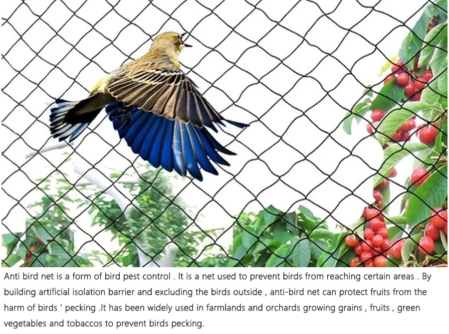 Extruded Anti Bird Netting