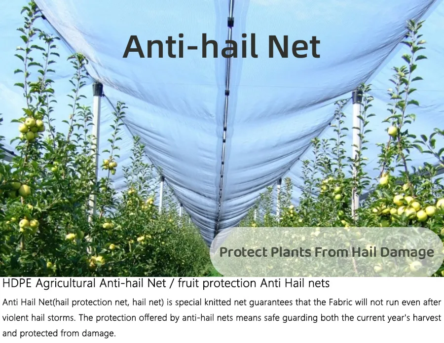 anti-hail net-1.jpg