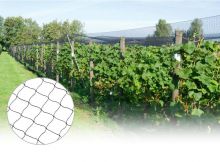 Black Anti-bird Net for Plants 