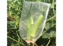 Drawstring Mesh Bag against Insect Pest