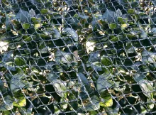 Bird Exclusion Netting, Bird Blocking Nets