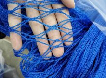 Durable Agricultural Anti-bird Net - Blue