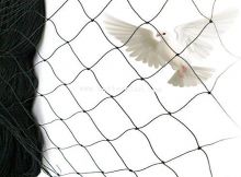 Cheap Anti Pigeon Net For Sale