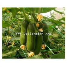 Cucumber Trellis Net For Crawling, Plant Support Netting 