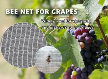 Orchard 100% HDPE Bee Net With 3% UV Treated