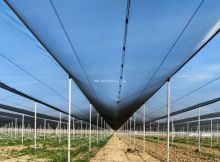 35gsm Commercial Warp Knitted Bird Netting For Sale