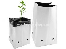 PE Black And White Grow Bags