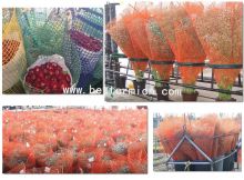 Cutting Floral Plastic Square Mesh Harvest Netting