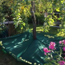 60gsm Olive Collection Net Olive Knitted Net