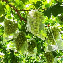 Garden Netting Bags