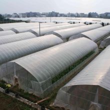 Plastic Agricultural Greenhouse Film For Vegetables