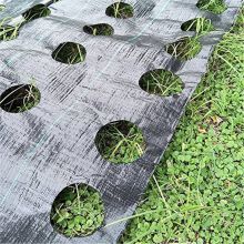  Greenhouse Agriculture Weed Mat UV Weed Control Fabric