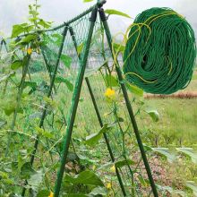 Plastic Green UV Plant Support Climbing Netting For Grow