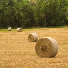 Hdpe Anti Uv Agricultural White Packing Hay Wrap Bale Net