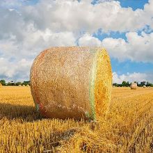 Agriculture Plastic Straw Hay Bale Net Wrap Net For Farm