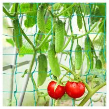 Factory Price Cucumber Tomato Knotted Trellis Net