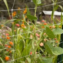 Wholesale Outdoor Garden Trellis Net Climbing Plants Support Net