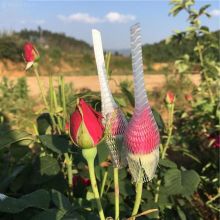 High Quality Plastic Bud Protection Sleeves Packing Rose Net