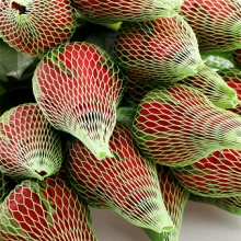 Extruded Protective Sleeve Netting Rose Protection Bud Net