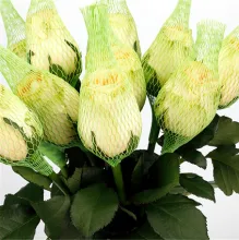 High Quality Plastic Flower Protection Net Bud Rose Net