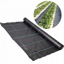 Best Quality Garden Agriculture Plastic Ground Cover Fabric 