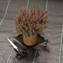 Weed Membrane Weed Block Fabric Weed Barrier Mat For Garden