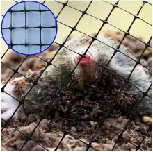 Black Plastic Bird Netting Deer Fence Netting Anti Mole Net