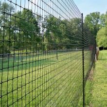 Black Plastic Garden Anti Bird Net Extruded Mole Netting
