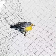50' X 50' Anti-bird Net For Bird Poultry Aviary Game Pens