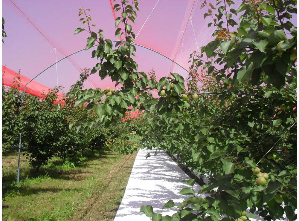 Woven Anti-Hail Nets to Protect Plants