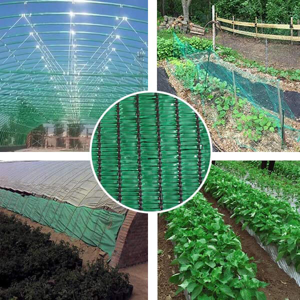 What Is Greenhouse Shade Netting