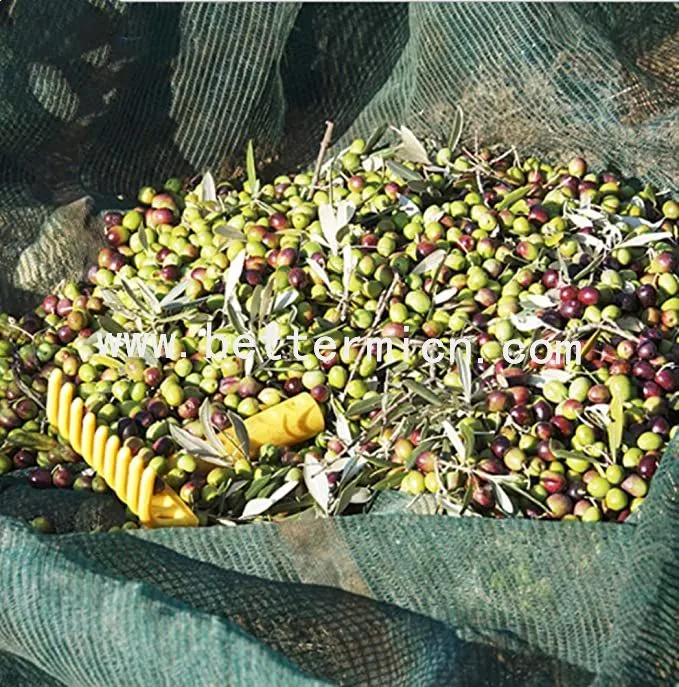 Hdpe Olive Collection Net  | Olives Harvest Netting