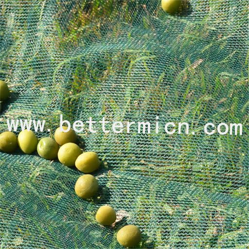 Olive Net For Agriculture | Olive Harvest Nets