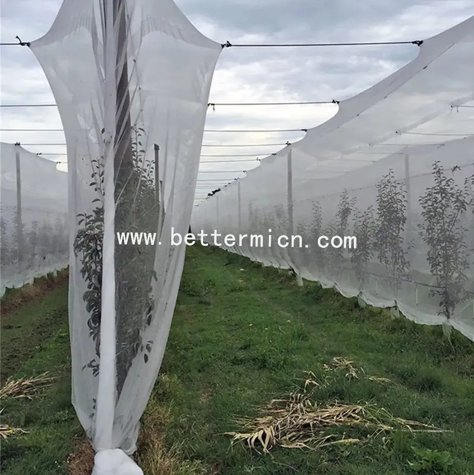 Insect Netting For Vegetable Gardens