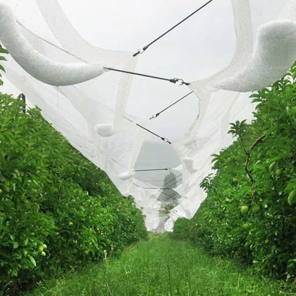 High Quality White Agriculture Anti Hail Net For Apple Tree