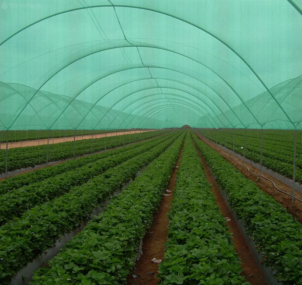 135gsm Agriculture Green Sun Shade Net 