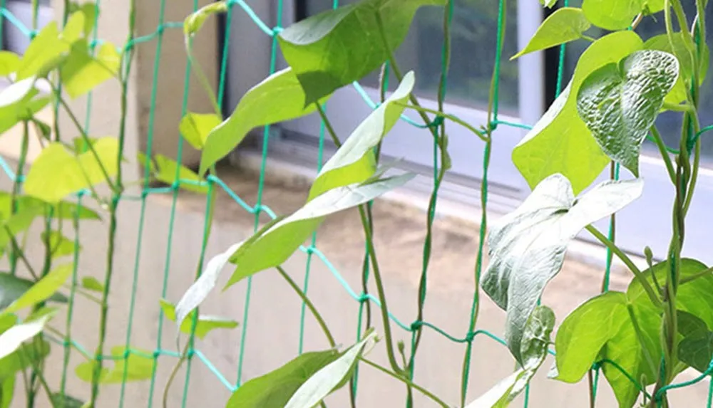 how to choose the trellis netting for your plants