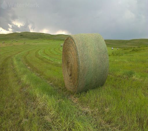 High Strength Bale Wrap Net Agricultural Silage Wrapping Net
