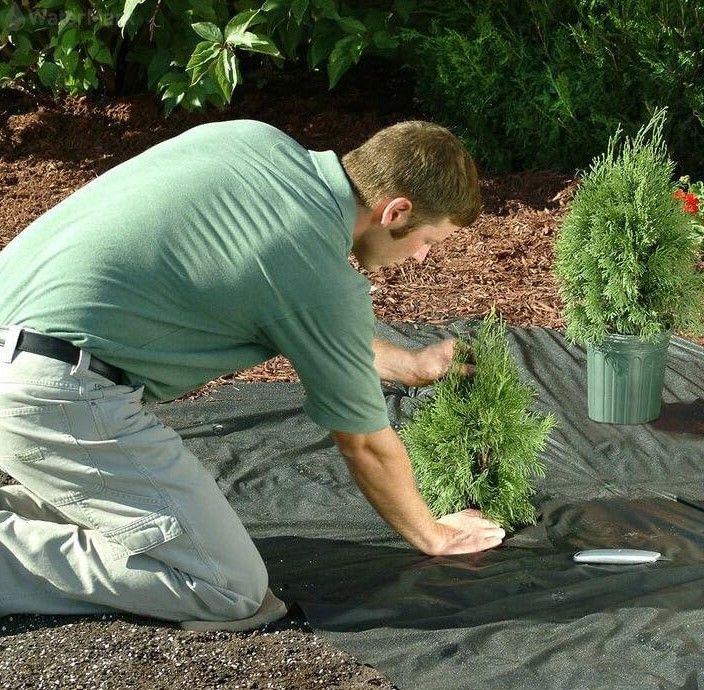 Weed Barrier Fabric