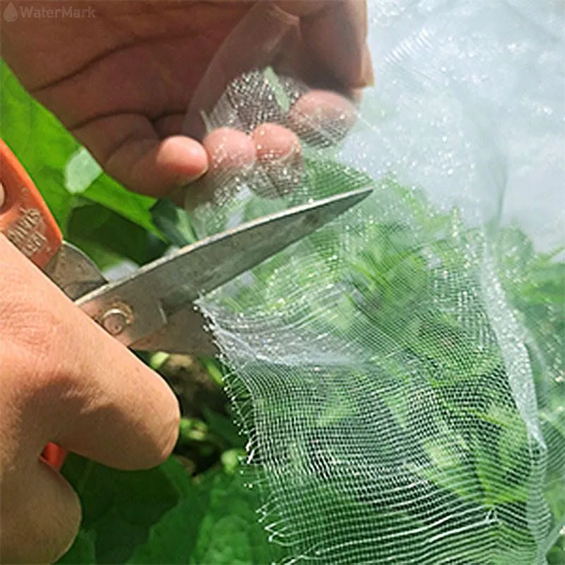 Best Selling 5 Years Usage Insect Proof Net For Plants