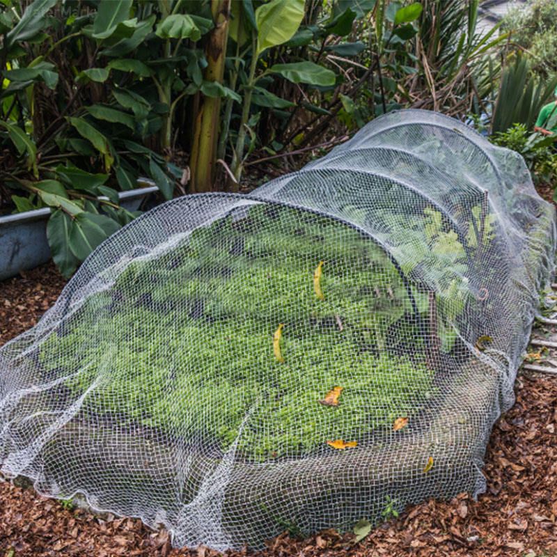 Best Selling 5 Years Usage Insect Proof Net For Plants